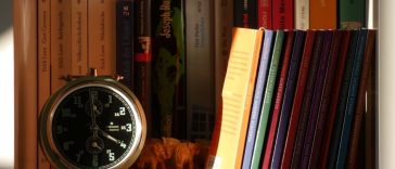 Powerful Lessons from Time-Loop Journals in 2025